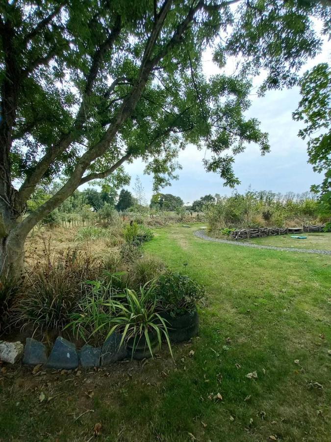 Field Hut Villa Wadebridge Dış mekan fotoğraf