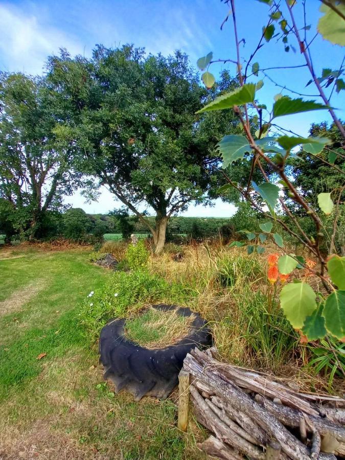 Field Hut Villa Wadebridge Dış mekan fotoğraf